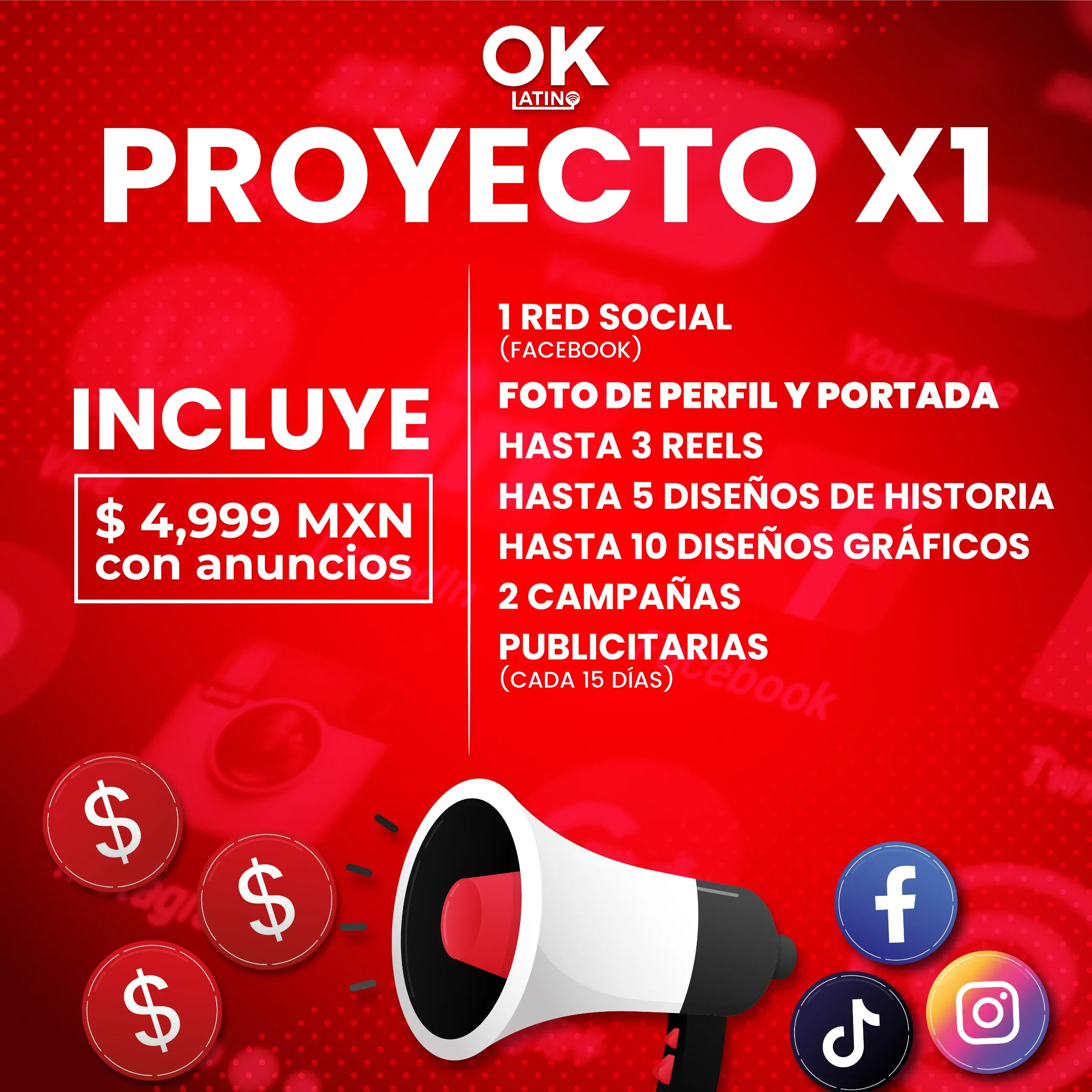 PROYECTO X1